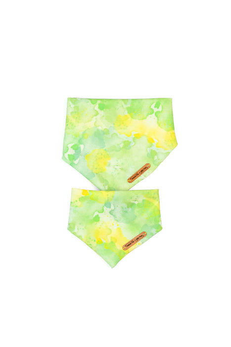 Melody Collection Bandana