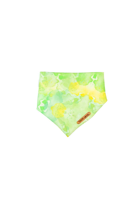 Melody Collection Bandana