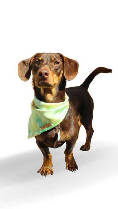 Melody Collection Bandana