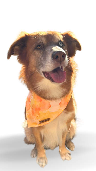 Happy Collection Bandana
