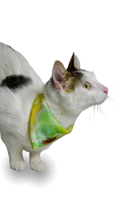 Melody Collection Bandana