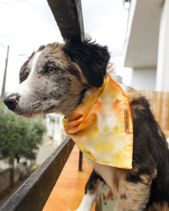 Size M happy bandana