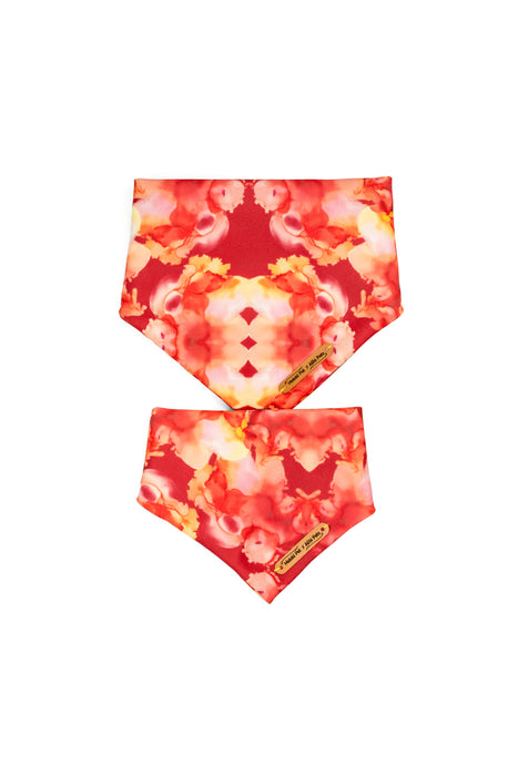 Bandana Coleção Passion