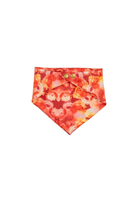 Bandana Coleção Passion