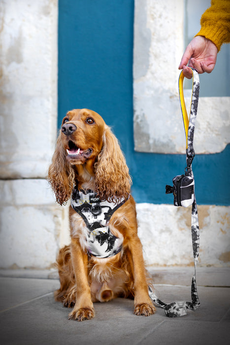 Reason Collection Harness Pack