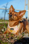 XS Happy Harness