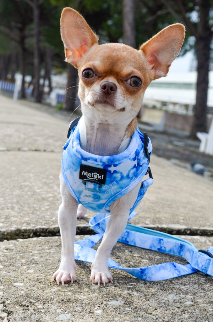 Harmony Collection Harness