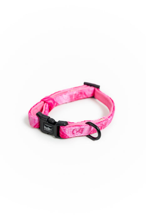 Collar para gatos de la colección Dream