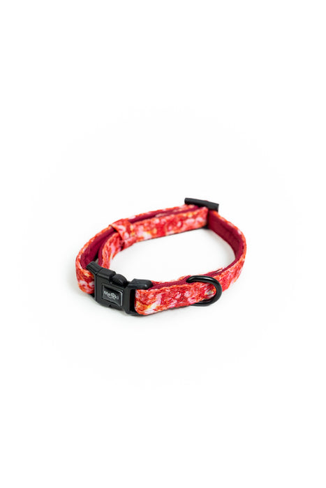 Collar para gatos de la colección Passion