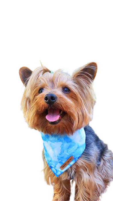 Harmony Collection Bandana