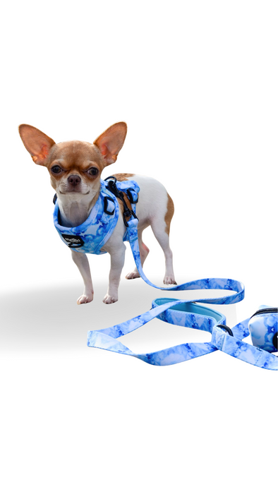 Harmony Collection Harness Pack