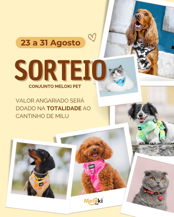 Sorteio 2026  - Pack Peitoral