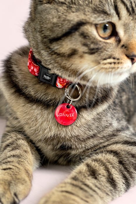 Collar para gatos de la colección Passion
