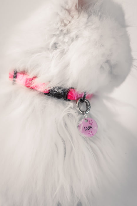 Collar para gatos de la colección Dream