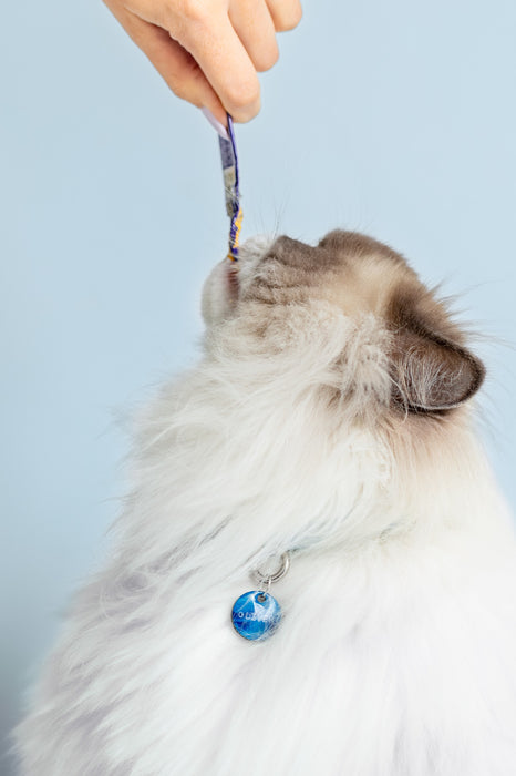 Collar para gatos de la colección Harmony